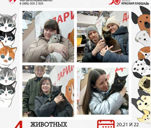 Спешим поделиться итогами выставки в Мегацентре 